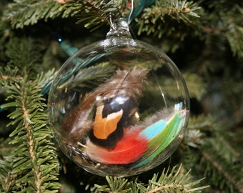 Hand Blown Ornament - Handblown Glass Christmas Ball - Feather Ornament Bird Gift- Christmas Gift