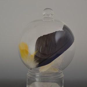 Winter Solstice Gift - Yule Gift -Handblown Glass Ball - Hand Blown Lampwork Glass Feather Ornament