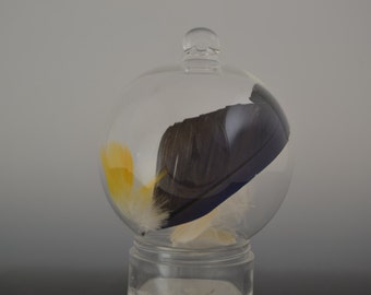 Winter Solstice Gift - Yule Gift -Handblown Glass Ball - Hand Blown Lampwork Glass Feather Ornament