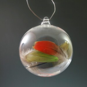 May include: A clear glass ornament with a silver string hanging from the top. Inside the ornament are three feathers: one red, one green, and one white.