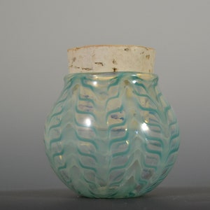 Hand Blown Glass Jar - Trippy Bud Jar - Heady Handblown Glass Jar - Herb Jar - Treasure Jar - Kitchen Jar