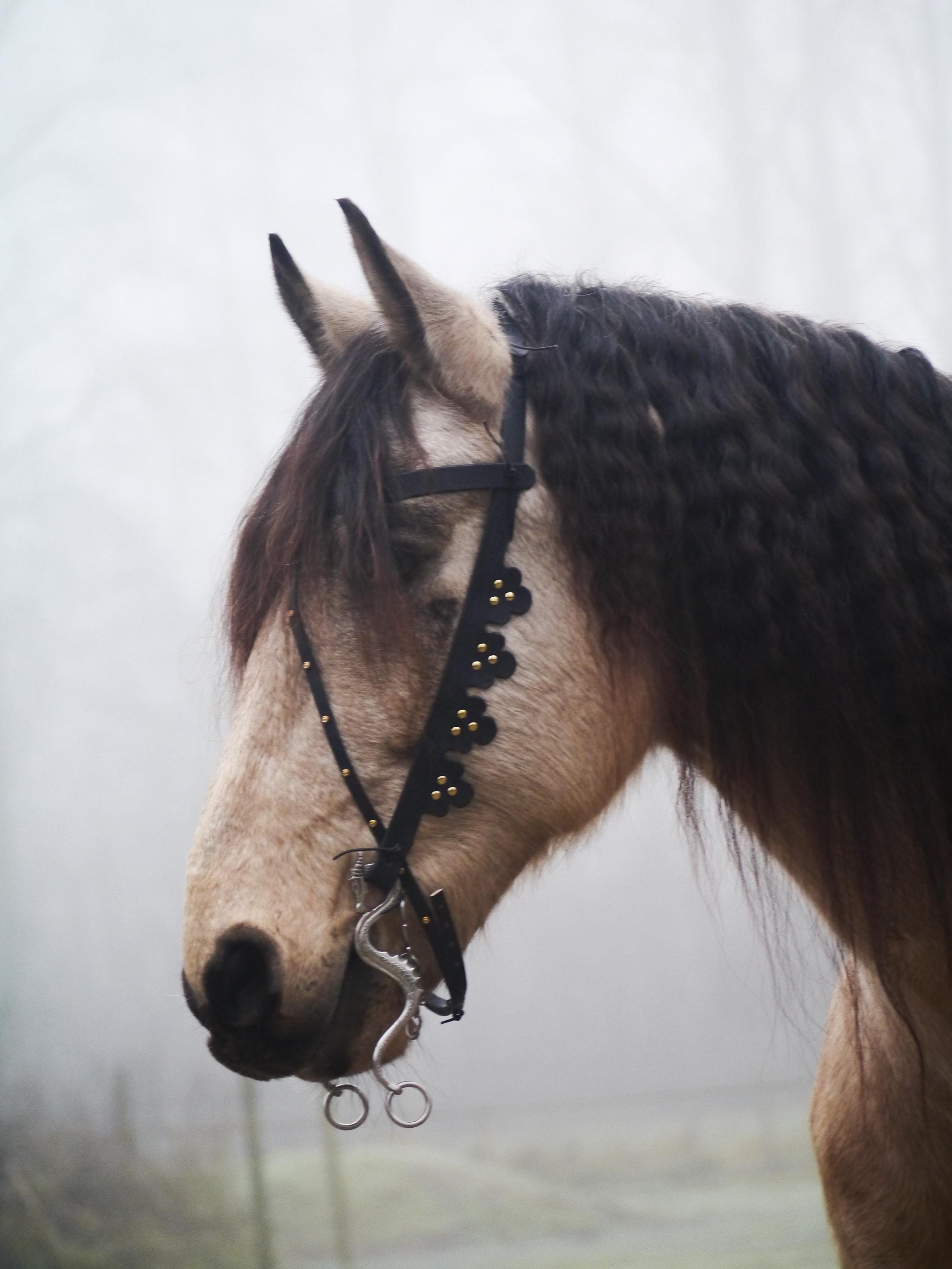 Bride Cheval Baroque En Cuir Luxe - Bridon Orné Fait Main Pour Tous Chevaux