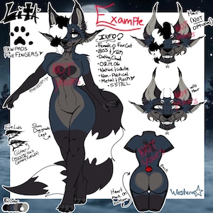 May include: A digital illustration of a female fox-cat character named Lita. The character is depicted in a standing pose with a dark blue and black color scheme. The image includes details such as paw pads, five fingers, and a heart mark.