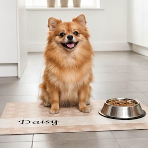 Personalized Dog Food Mat with Custom Name, Color and Font, Water Absorbent Pet Bowl Placemat, Cute Home Decor Gift for New Puppy or Kitten