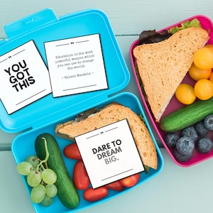 Może przedstawiać: Trzy kolorowe pojemniki na lunch wypełnione kanapkami, owocami i warzywami. Każdy pojemnik zawiera białą kartkę z motywacyjnym cytatem. Jeden mówi "YOU GOT THIS", drugi mówi "Education is the most powerful weapon...", a ostatni mówi "DARE TO DREAM BIG."