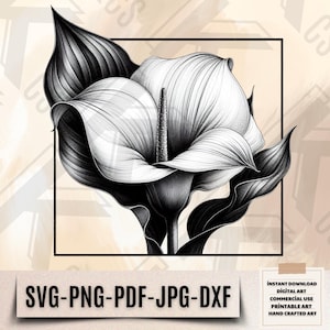 Calla Lily SVG - Elegant Black And White Flower Clipart - Botanical Line Art - Monochrome Floral Digital Download - Fine Line Svg