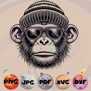 May include: Black and white illustration of a monkey wearing a beanie and sunglasses. The monkey has a serious expression and is looking directly at the viewer.