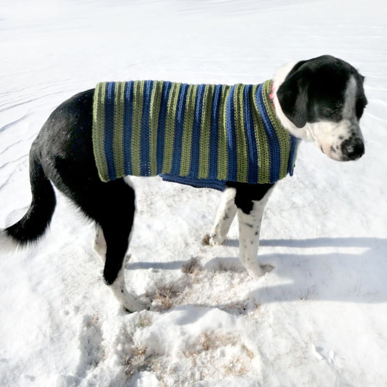 Easy Adjustable Dog Sweater Coat PDF Crochet Pattern Instant Download image 1