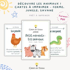 Flashcards Animaux | Ferme, Jungle, Savane & STEM | Montessori | PDF à Imprimer | 3 Formats Inclus pour Apprendre en S’amusant
