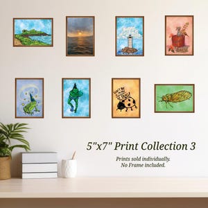 May include: A collection of eight framed 5"x7" prints with various illustrations. The prints include a landscape, sunset, lighthouse, frog, insect, and a ladybug with the text "DON'T BE A MAN BE A BUG!". The prints are displayed on a white wall.