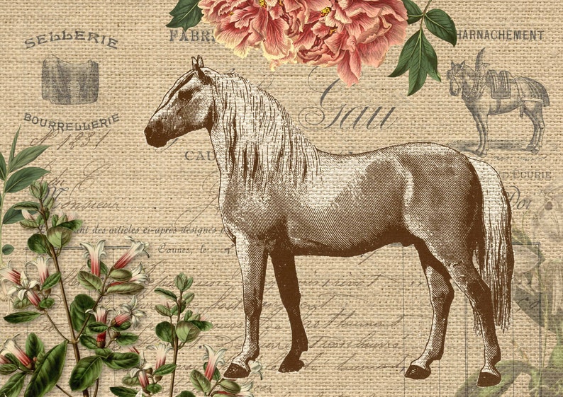 Decoupage Queen Burlap Horse Rice Paper Decoupage A4 for DIY Etsy