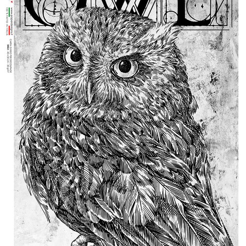 Winged Messengers Digital Paper Seamless Vintage Owl Patterns Etsy