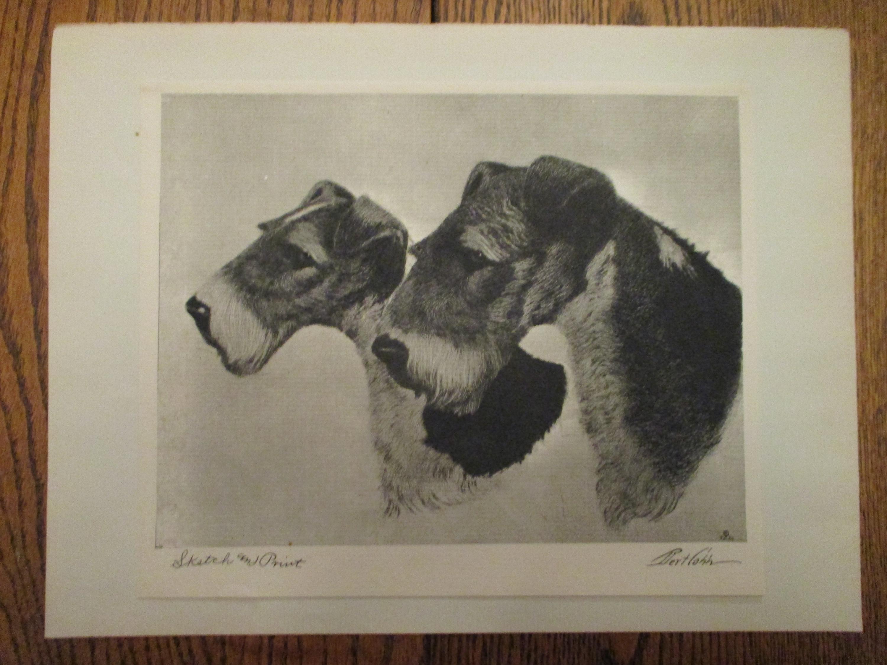 1931年出版 エッチング 犬 BERT COBB アメリカ 老人と犬|書籍詳細