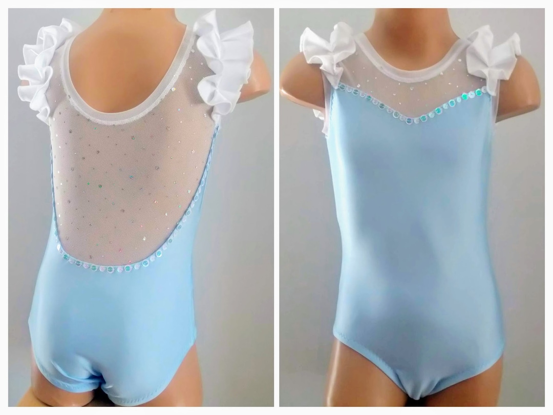 Cinderella Inspired Dance Leotard princess Cinderella Costume dance