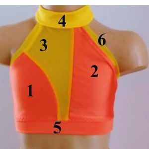 Top corto de baile personalizado - Diseña tu propio top corto - Atuendo para convenciones de baile - Traje para audiciones de baile - Ropa de baile - Trajes de baile personalizados