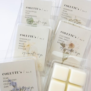 Cera di soia naturale da 60 g - Varietà di fragranze, non tossica: eucalipto e menta, zenzero e giglio, teak e mogano, cetriolo e Earl Grey, fiori di argan