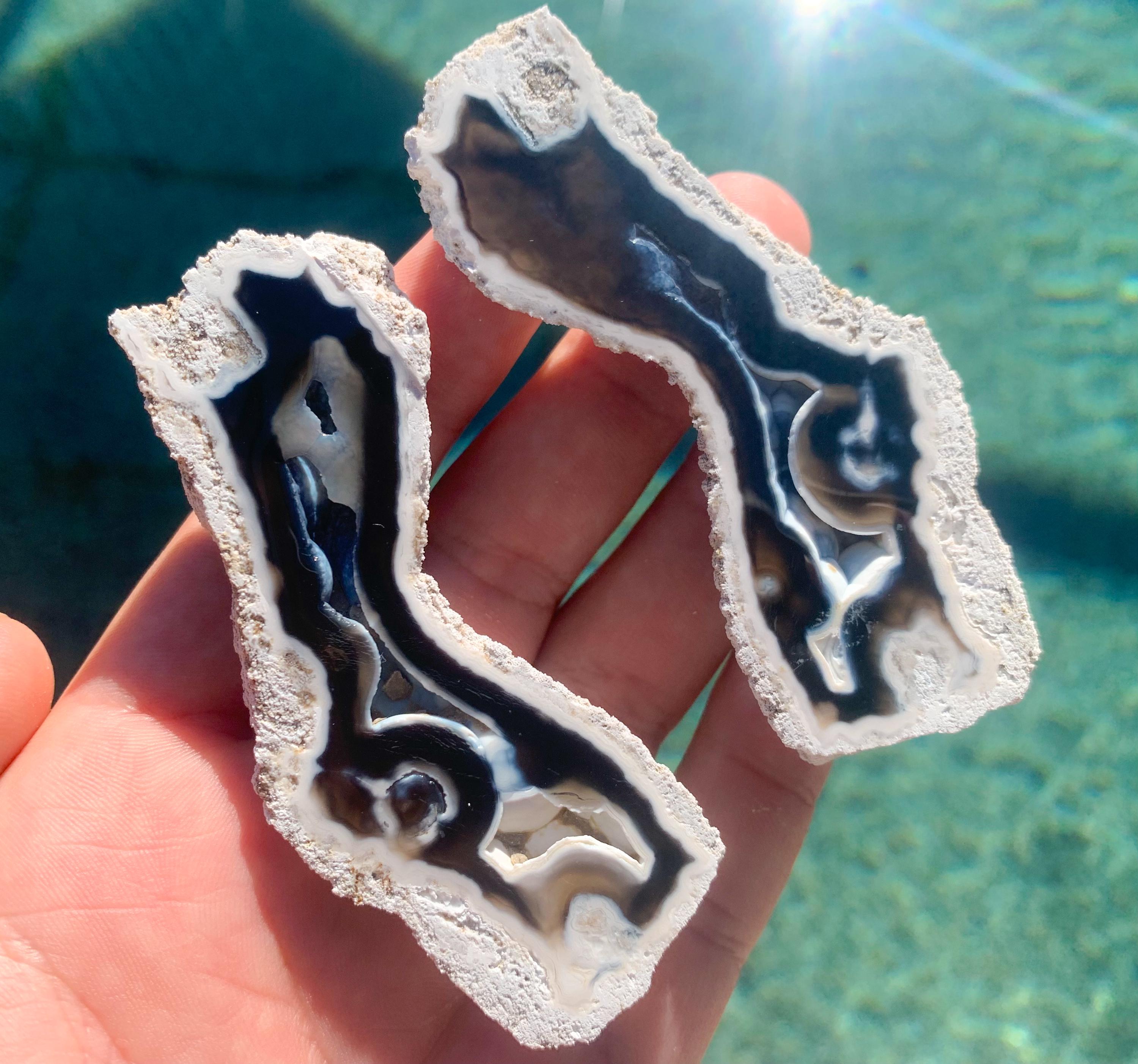 Coral geode - Etsy 日本