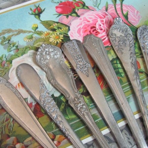 Op de afbeelding: Een set van zes zilveren lepeltjes met sierlijke bloemmotieven. De lepeltjes zijn waaiervormig gerangschikt op een vintage bloemenachtergrond.