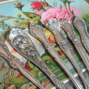 May include: Six silver-plated teaspoons with floral designs. The spoons have a vintage look and are arranged on a floral patterned background.