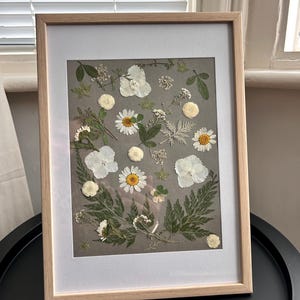 Pressed dry flowers art gifts. A4