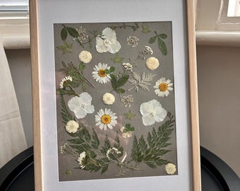May include: A framed pressed flower art piece with white flowers and green leaves on a gray background.