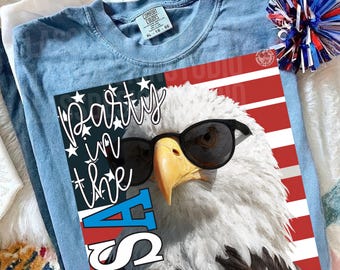 Fiesta en los EE. UU. PNG, EE. UU. Png, Png patriótico, Png del Día de los Caídos, Png personalizado, Png del horario de verano, Png del 4 de julio, Png americano, Png de estrellas,