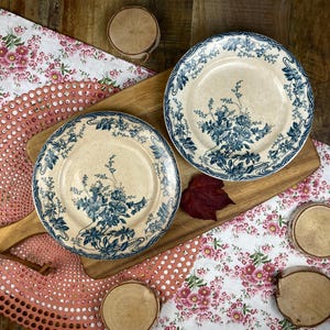 Set of 2 Antique Longwy “Azaleas” Flat Plates in Vintage Ironstone | Blue Floral Pattern Art Nouveau Ceramic