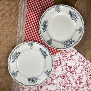 Set of 2 Antique St Amand Flat Plates in Ironstone | Vintage French Blue Floral Decor