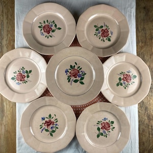 Set of 7 Antique Digoin Sarreguemines Flat Plates in Vintage Ironstone | Hand Painted Floral Pattern | French Tableware