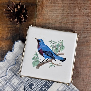 Peut inclure: Sous-verre carré en céramique avec une illustration d'oiseau bleu sur fond blanc, encadré d'or. L'oiseau est perché sur une branche avec des feuilles vertes. Un cône de pin et un tissu à motifs sont également dans l'image.