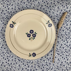 Small Antique Plate &quot;Geneviève&quot; Moulin des Loups | Vintage Ironstone | Blue and Green Floral Decor