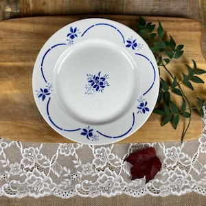 Set of 5 Old Flat Plates &quot;Pedro Bleu&quot; - Moulin des Loups and Hamage, Terre de Fer