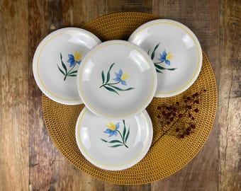 French Vintage Dessert Plates by Salins | Hand-Painted Flowers | Set of 4 | Made in France