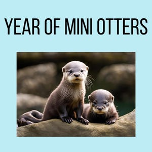 Könnte beinhalten: Zwei entzückende Otterbabys, eines braun und eines grau, sitzen auf einem Felsen. Beide schauen mit neugierigen Gesichtsausdrücken in die Kamera.