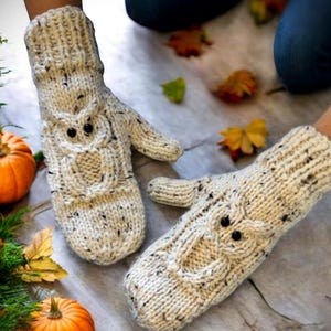May include: A pair of white knitted mittens with owl faces. The mittens have a speckled pattern and black eyes.
