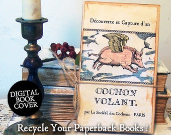 Flying Pig Book Cover Art - Rustic Books - Pig Gift - Junk Journal Download - French English, Color Versions Plus Black And White  CS89 BC