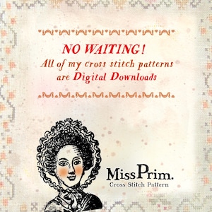 Elizabeth Bennet Cross Stitch Pattern – Regencycore Jane Austen Pillow - Miss Prim (PDF Pattern) image 3