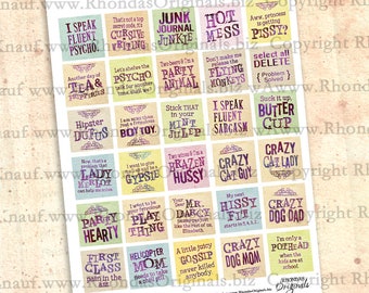 Printable Sassy Sayings Digital Download Collage Sheet - Funny Phrases For Junk Journals, Scrapbook, Card Making CS102CS