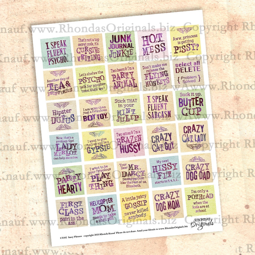 Printable Sassy Sayings Digital Download Collage Sheet Funny - Etsy