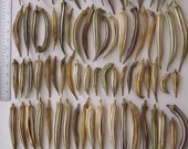 102 Dried Organic Okra Pods for Christmas Santas Extreme Grungy Burgandy Clemson Spineless Dried Goods Prim Folk Art Baskets Crafts Decor