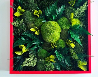 mesa en plantas estabilizadas