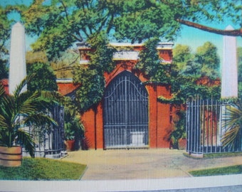Vintage 1940s Unused Linen Postcard- Washingtons Tomb, Washington DC- Excellent Condition