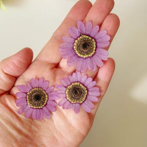 May include: Three dried purple daisy flowers with yellow and brown centers. The petals are a soft purple hue, and the centers have a textured appearance. The flowers are arranged in a hand, showcasing their delicate details.