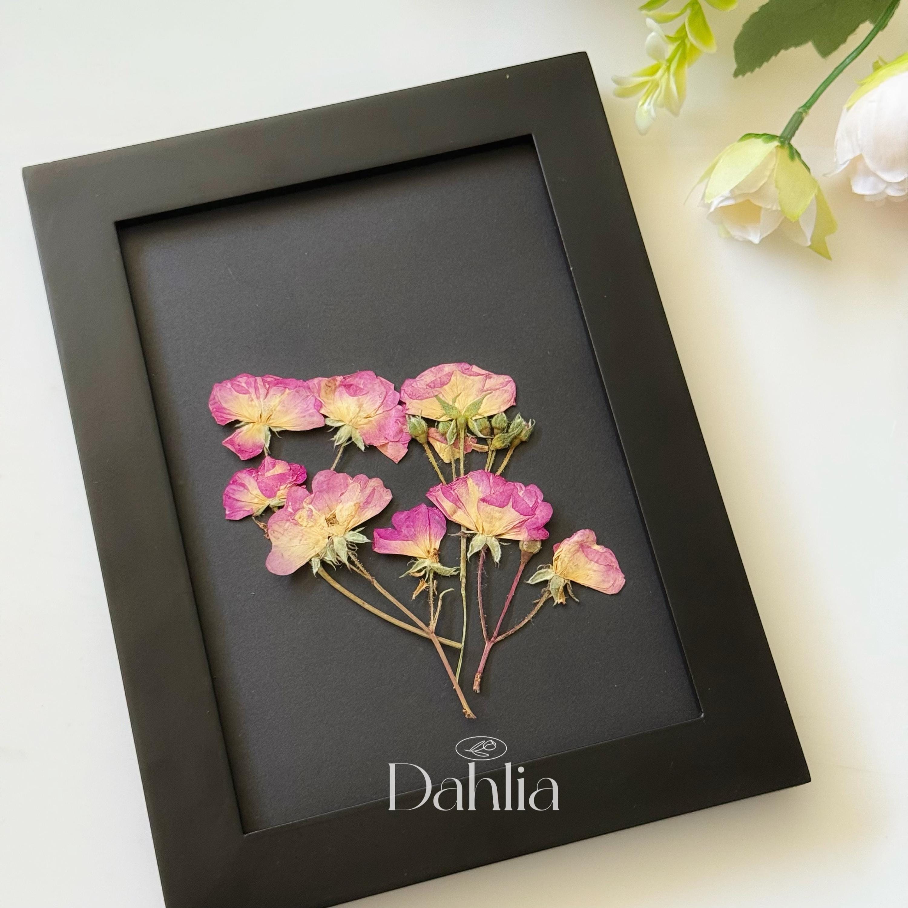 Pressed Mini Rose Flowers With Stems: Resin Art, Scrapbooking (12pcs ...