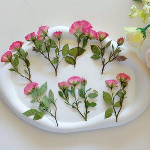 Op de afbeelding: Een verzameling geperste roze rozenstelen met groene bladeren, gerangschikt op een wit ovaal dienblad. De stelen zijn voorzien van kleine, delicate roze bloesems in verschillende stadia van bloei, vergezeld door gedetailleerd groen blad.