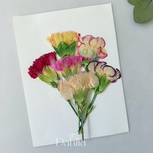 May include: A bouquet of pressed carnation flowers in shades of yellow, pink, red, and cream, arranged on a white card. The flowers have green stems and are arranged in a natural, artistic composition. The word "Dahlia" is printed at the bottom.