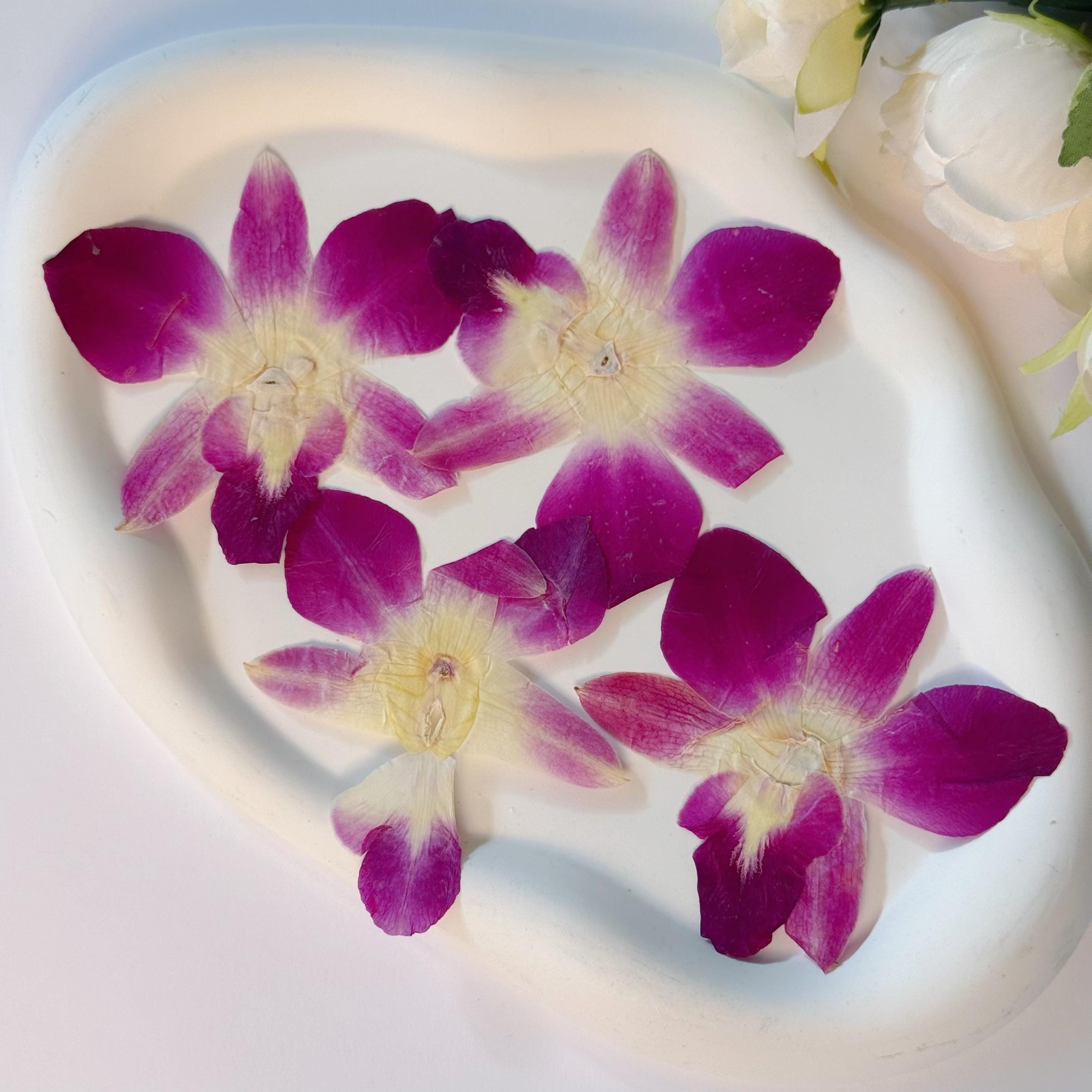 Untitled, image size:3000x3000