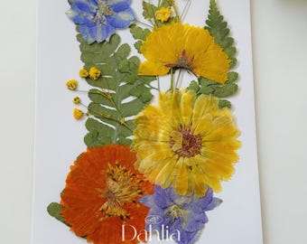 Op de afbeelding: Een kunstwerk van geperste bloemen met een verscheidenheid aan bloemen, waaronder blauwe, gele en oranje bloemen, en groene varenbladeren. Het werk is rechtsonder getekend met "Dahlia".