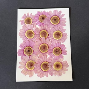 May include: A white card featuring a collection of pressed pink daisies with yellow centers. The flowers are arranged in a grid pattern, creating a visually appealing floral display. The background is a solid black surface.