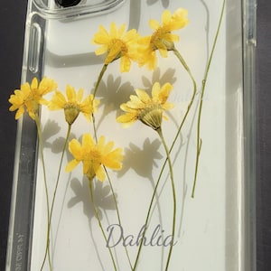 Yellow Dried Pressed Daisy Flowers: Resin Art, Scrapbooking (12pcs)